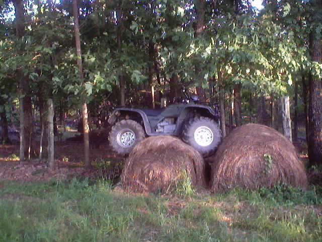 hay.jpg