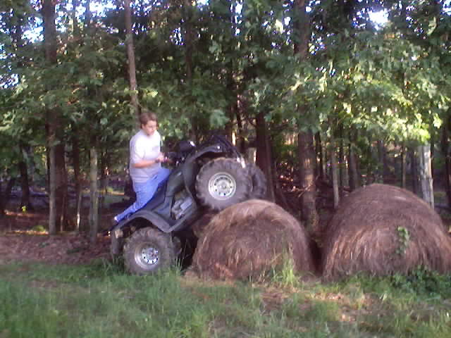 hay2.jpg
