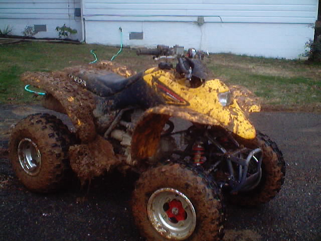 muddy.jpg