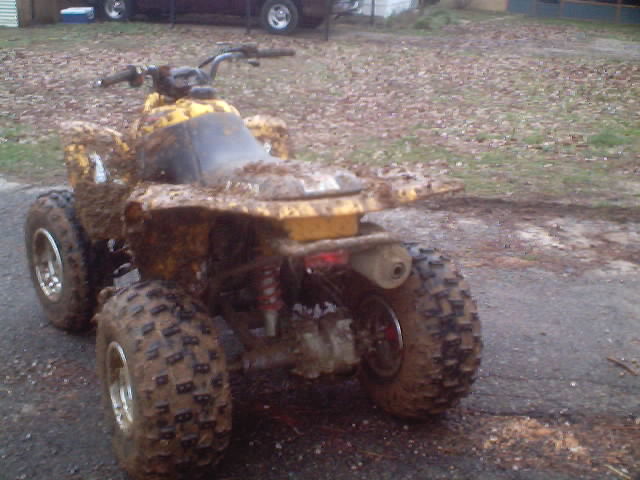 realmuddy.jpg