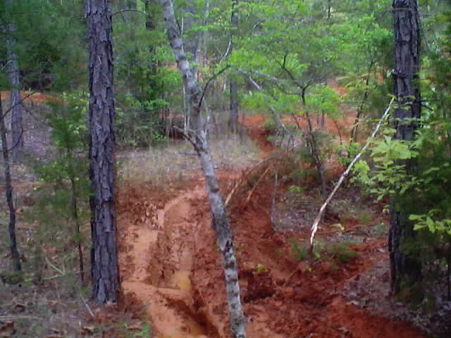 ruts.jpg