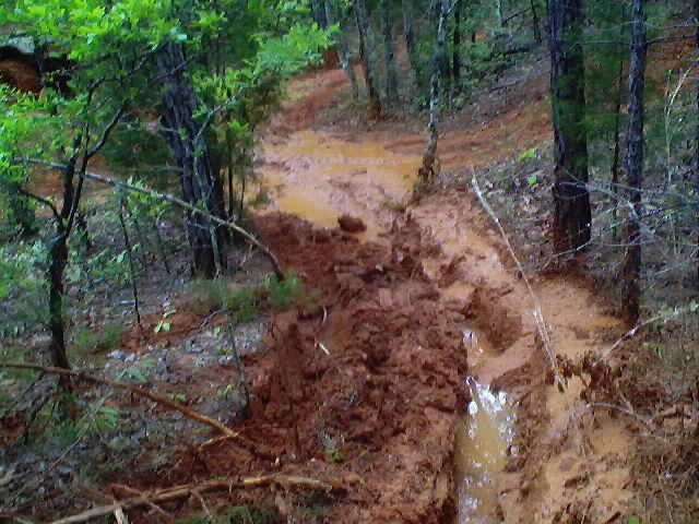 ruts2.jpg